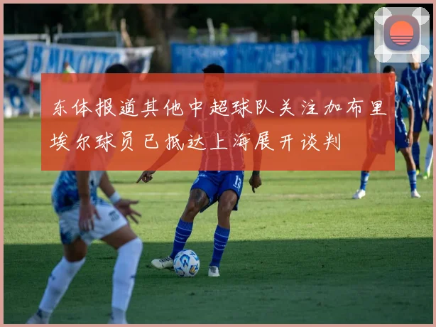 东体报道其他中超球队关注加布里埃尔球员已抵达上海展开谈判